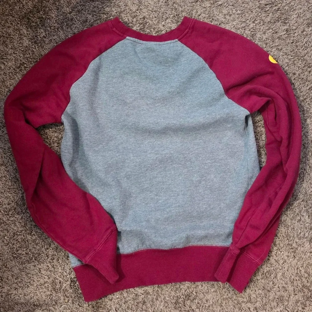 Harry Potter Gryffindor crewneck